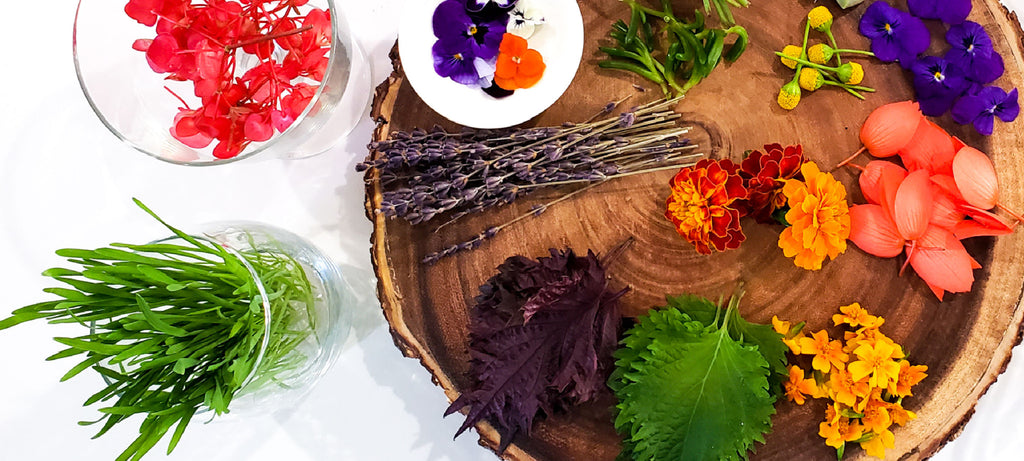 Simply stunning leaves, flowers, and blossoms. Add that extra special look and flavor to just about any creation!
