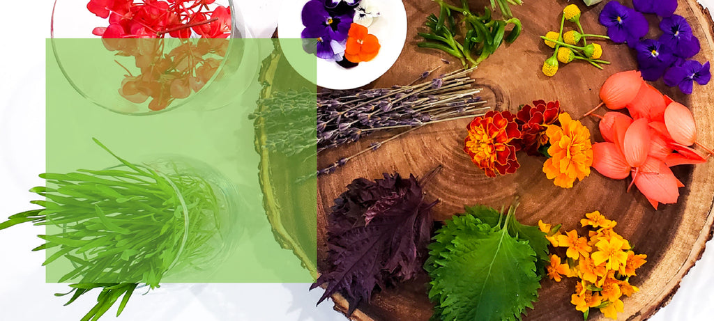 Edible Flowers and Leaves. Simply stunning leaves, flowers, and blossoms. Add that extra special look and flavor to just about any creation!