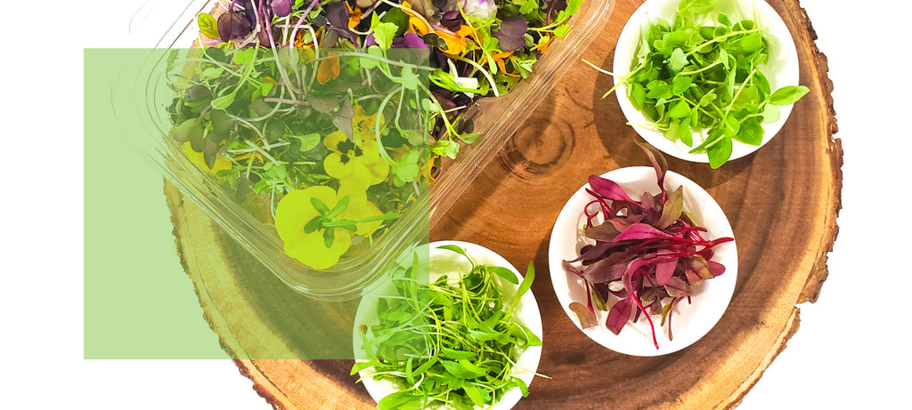 Microgreens. Micro versions of plants and herbs with concentrated flavors and nutrients. Ridiculously healthy and seriously delicious.
