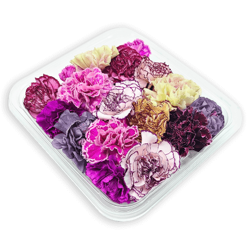 Clamshell packaging of Carnation Flowers “Lace Mix” – freshly harvested in Long Island, NY
