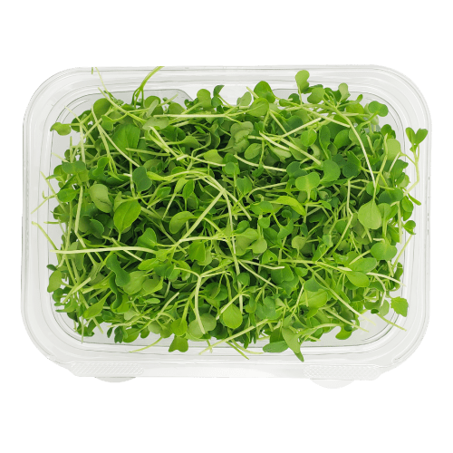 Micro Pak Choi Green Clamshell.