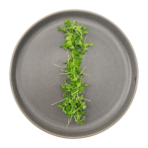 Buy Fresh Micro Pak Choi Green Online