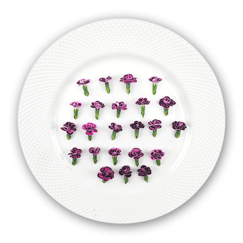 Micro Pink Dianthus edible flowers from Long Island, NY – bold fuchsia garnish for fine dining plating