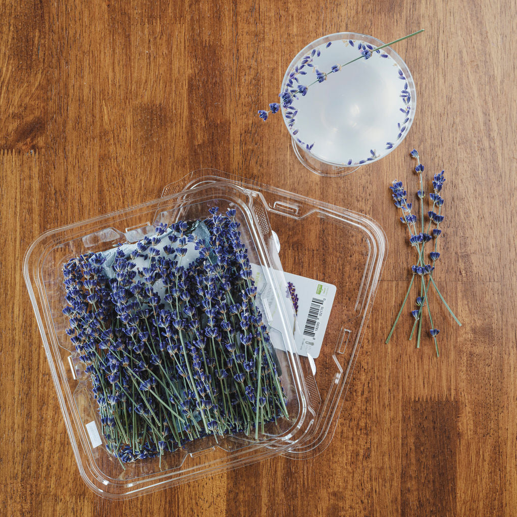 Touring a True French Lavender farm in Long Island, NY – sustainable sourcing for NYC kitchens
