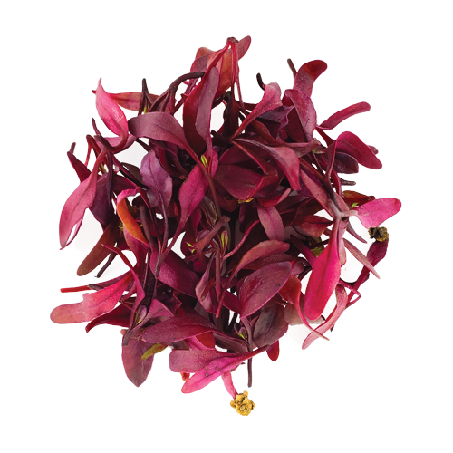 Micro Beets