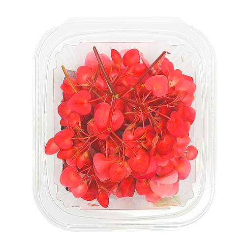 Clamshell pack of Apple Blossoms – fresh-picked edible flowers from Long Island, NY
