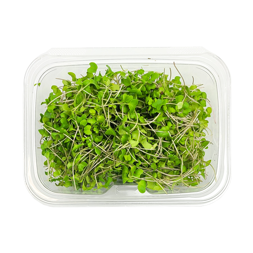 Micro Broccoli in clamshell packaging – chef-ready greens from Long Island, NY