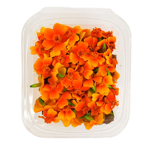 Clamshell pack of Micro Marigolds – hand-harvested petals from Long Island, NY for NYC kitchens