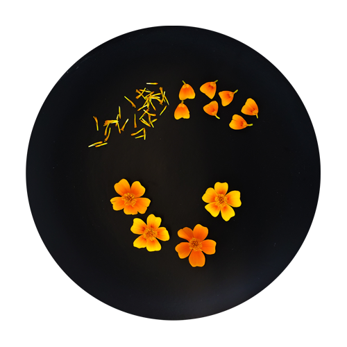 Plated Micro Marigolds – vivid edible blooms from New York ideal for NYC fine dining