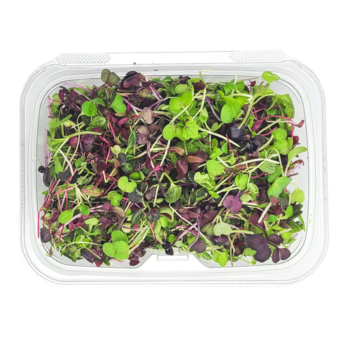 Micro Rainbow Mix - Buy Microgreens Online | WeQook