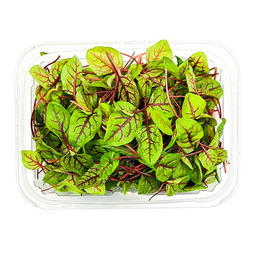 Clamshell pack of Red Veined Sorrel – premium edible greens harvested in Long Island, NY for NYC kitchens