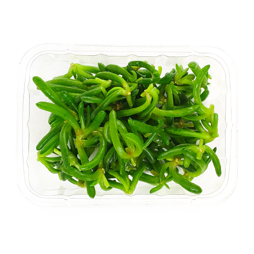 Clamshell pack of Salty Fingers – succulent greens harvested in Long Island, NY for NYC kitchens