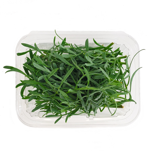Clamshell pack of Sea Fennel – sustainably grown in Long Island, NY for culinary use in NYC