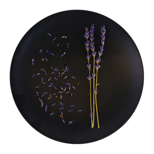 True French Lavender plated for service – elegant floral accent from New York for fine NYC dining